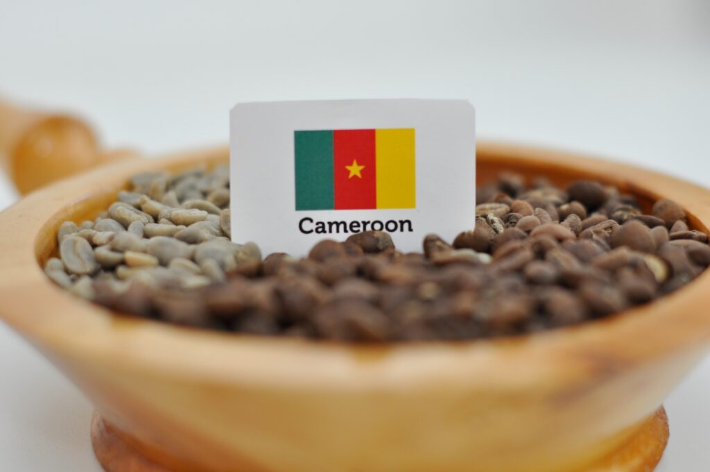 L’évolution de la culture du café au Cameroun : une histoire de passion et d’innovation